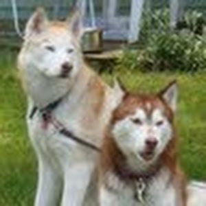 Meet your Posher, Scott